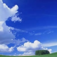心静自然凉16951