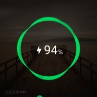 迷失的小鸡