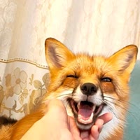 墨离公子