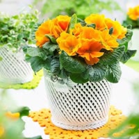 伊往情深319