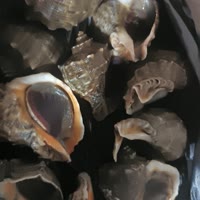 录屏搬运舞