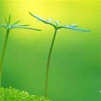 建安汇用户头像