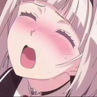 柒柒酱