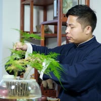 兆东国学