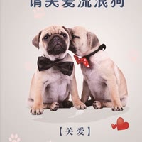 爱宠新生救助中心
