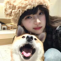 洋盘短剧
