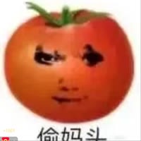 窝是西红柿