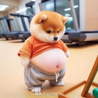 总有逗比挑衅本尊。