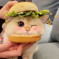 苏奈儿影视（搬运）