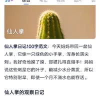 卡了卡了（三角洲行动）