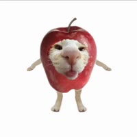 可爱苹果猫🍎