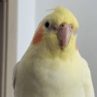 User_1598086400774