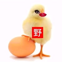 雨夜（猎奇中）