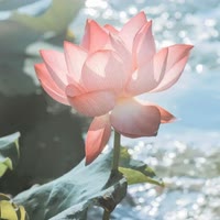 小惜