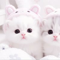 涵涵痛